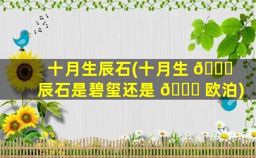 十月生辰石(十月生 🐎 辰石是碧玺还是 🍁 欧泊)